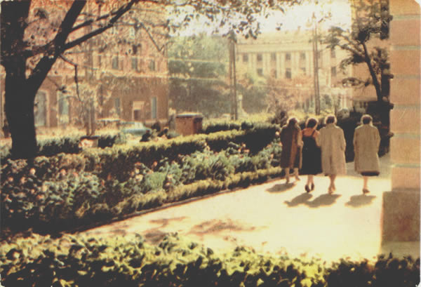 Проспект Ленина, 1965